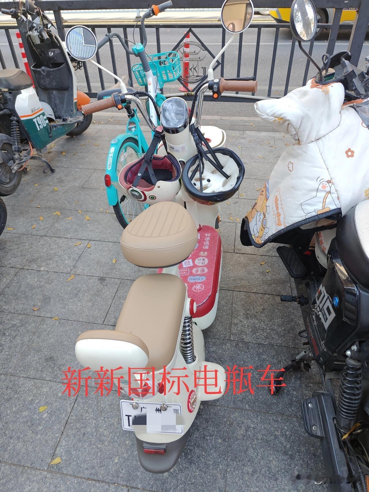 新新国标电动自行车已经悄然在大城市上路普及！有的自带后座可以载人，也可以上牌后加