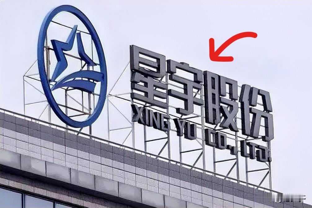 星宇股份塞尔维亚工厂这事儿，看得人心里真不是滋味。近期有前员工向媒体爆料，这