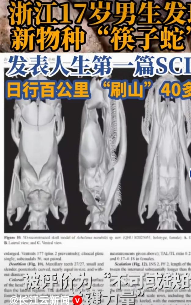 浙江17岁高三学生胡家豪太牛了！3月3日晚他在朋友圈晒出国际期刊论文截图，内容是