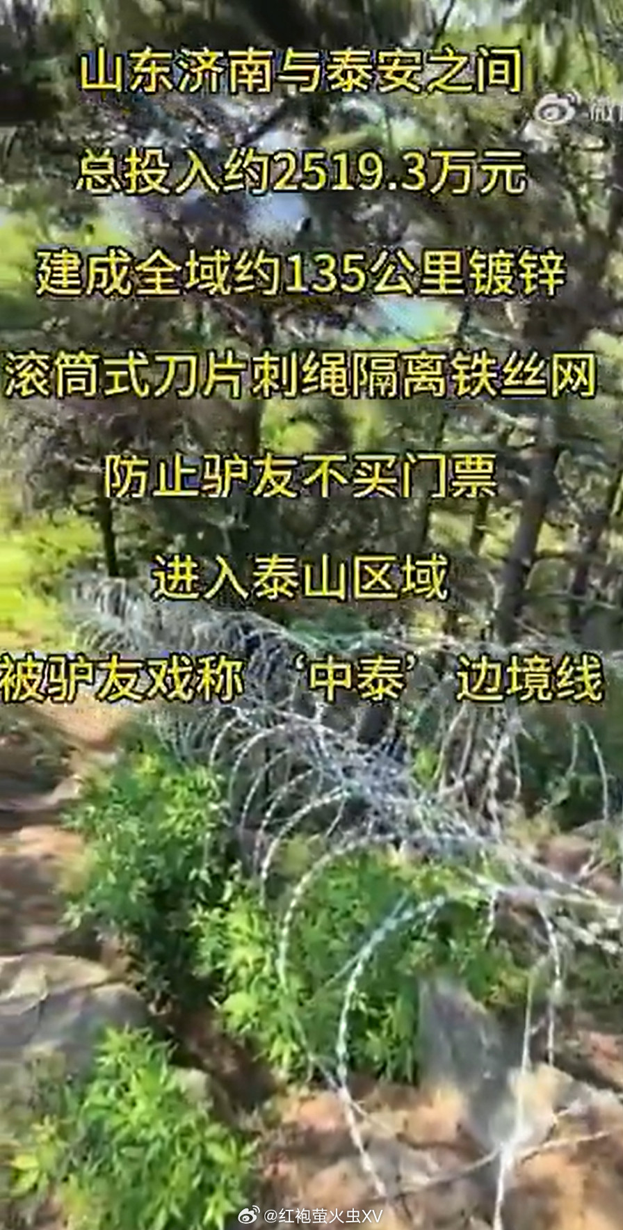 泰山铺设铁丝网，驴友戏称“中泰边境线”。景区回应，这是安全线，防游客跌落悬崖用的