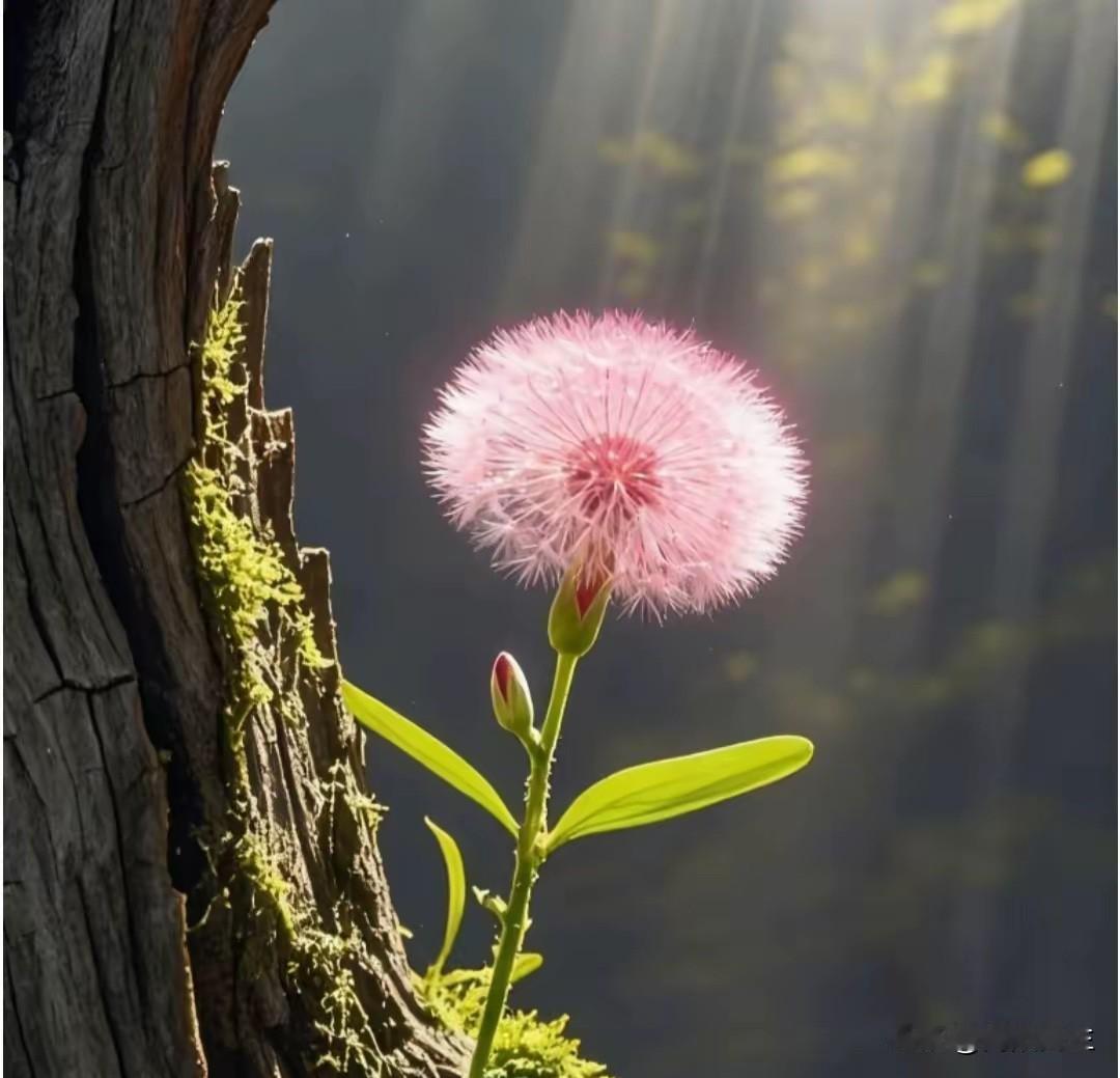 郭律师说的中年女性尊严来源主要有以下三点，看你们实现了没？1.公婆家人帮衬带
