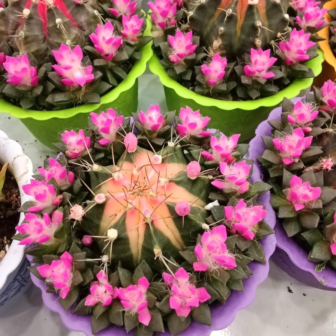 什么情况患者需要手术？医生给出标准截然不同，患者命运更是千差万别！从早上