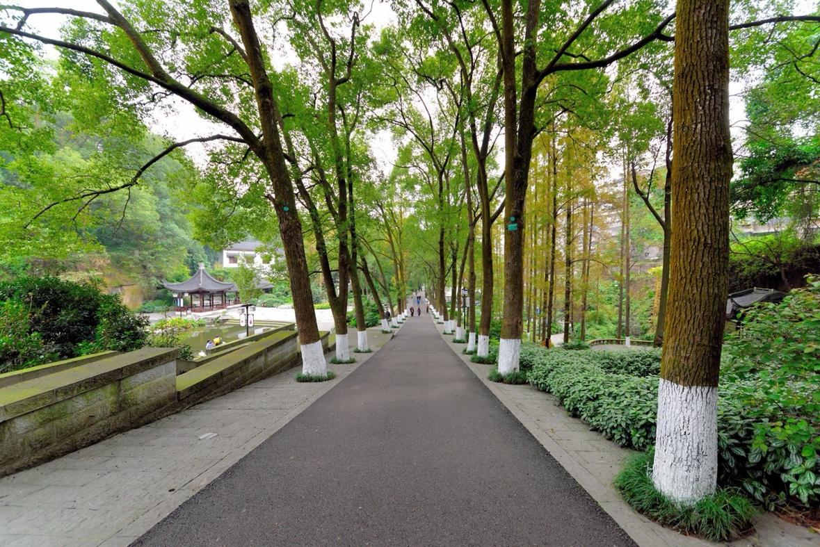 【昆明一场“喝酒娱乐”酿悲剧：纸牌游戏引发的命案，背后隐藏的法律与责任大考】