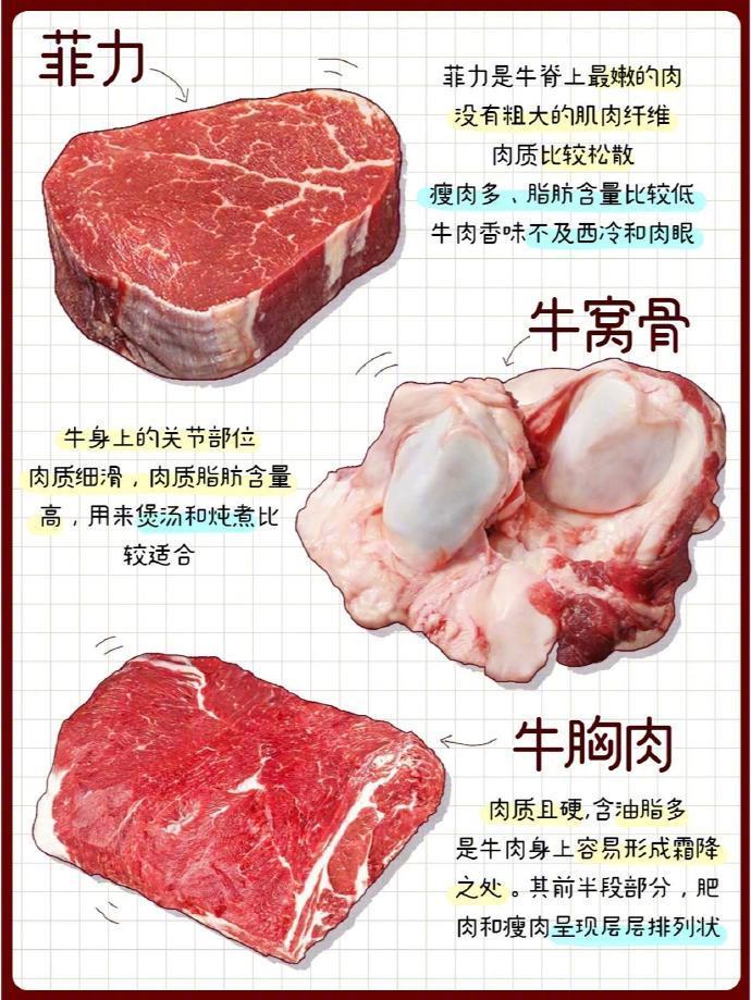 涨知识🥩快速学会如何挑选好吃的牛肉❗️​​​