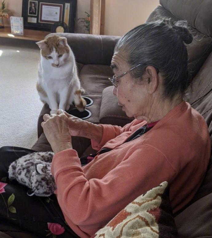 猫咪把它最喜欢的玩具弄破了。现在正等着奶奶给它缝补修好。猫咪*小心翼翼*：奶奶你