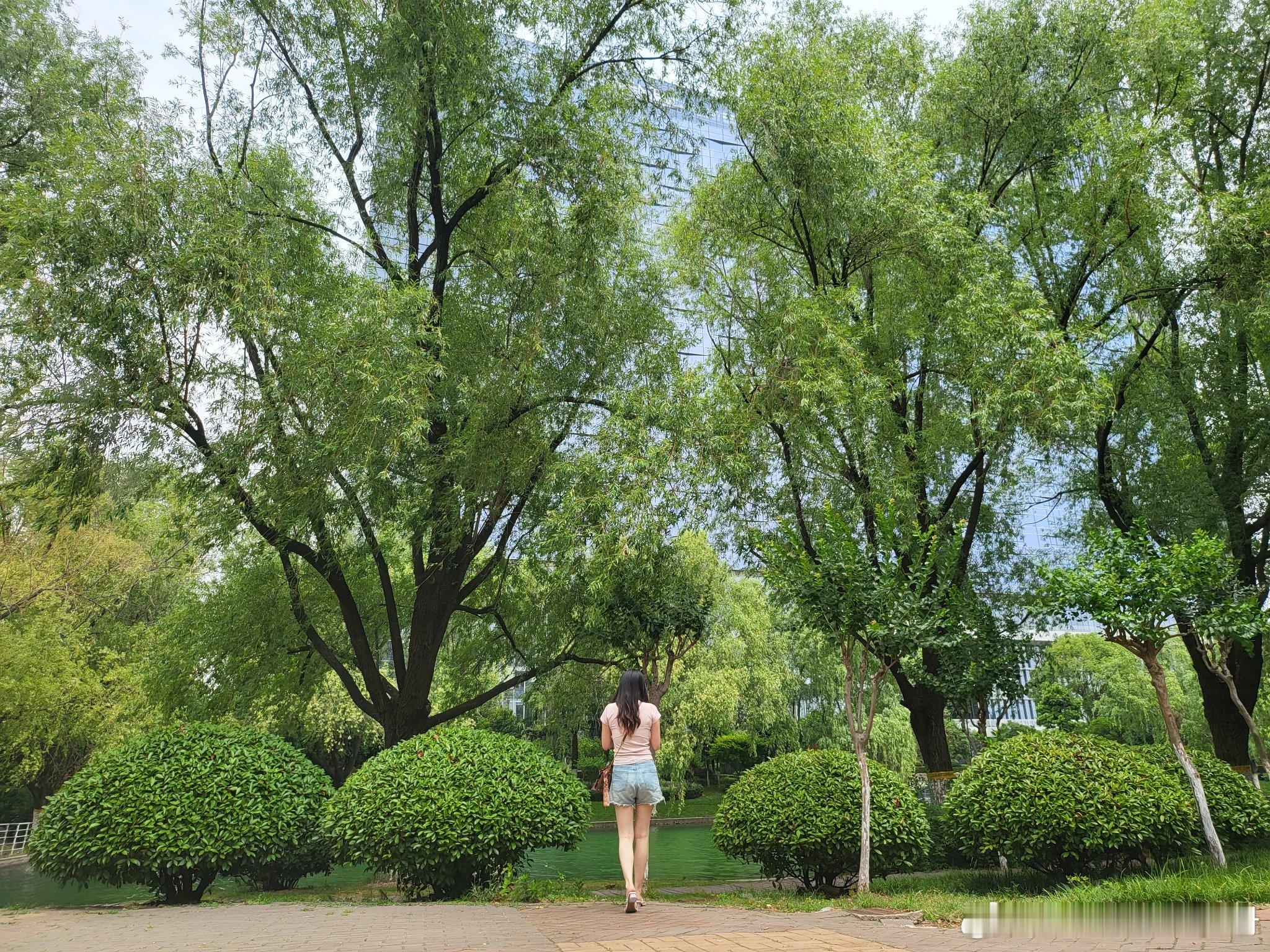 漫行假日眺望湖畔，享受城中绿地，释放美好。​​​