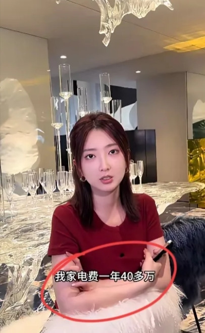 浙江一33岁女子家一年电费高达44万，惊到了众人。她家1000平，还有300