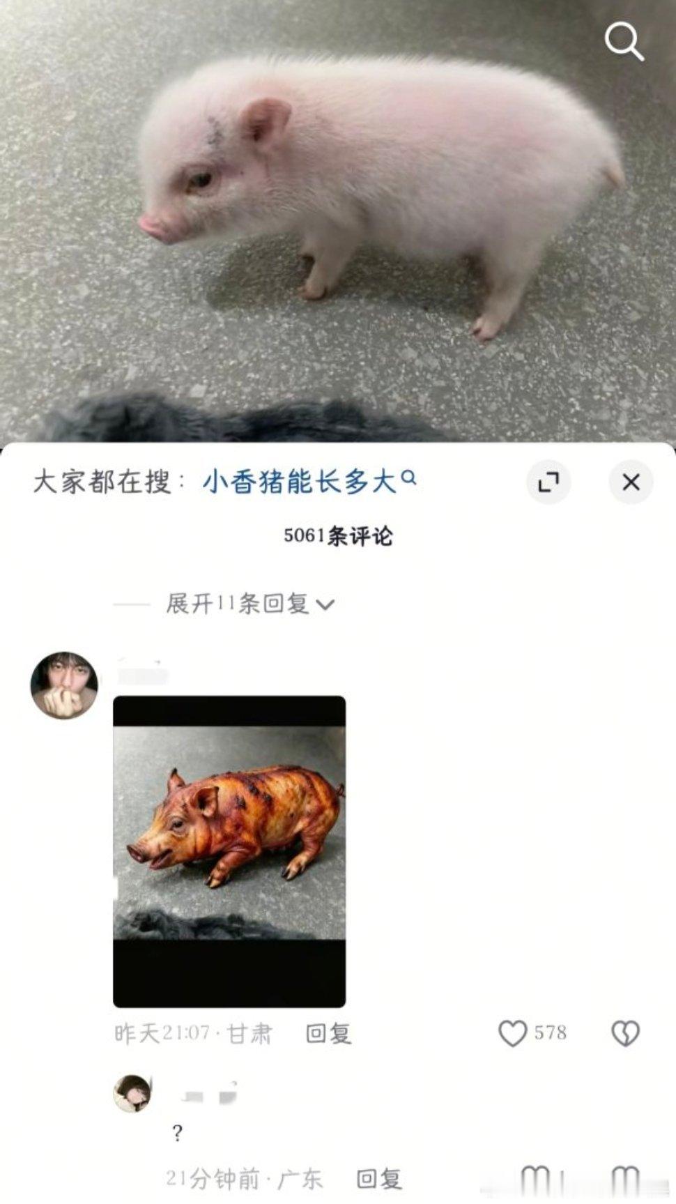 宠物小猪评论区一堆类似图片。到底在抖机灵些什么。。不会以为自己很幽默吧。。