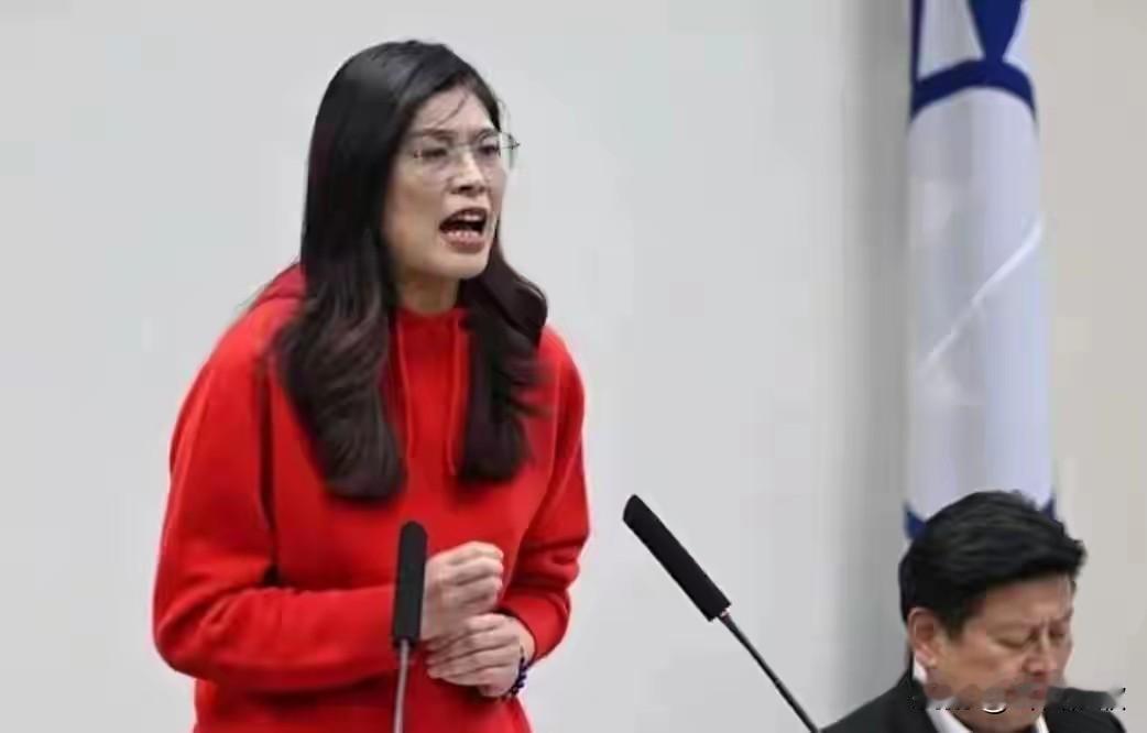 国民党主席郑丽文最新明确表态：国民党坚决反对台湾法理独立，直指民进党新两国论就是