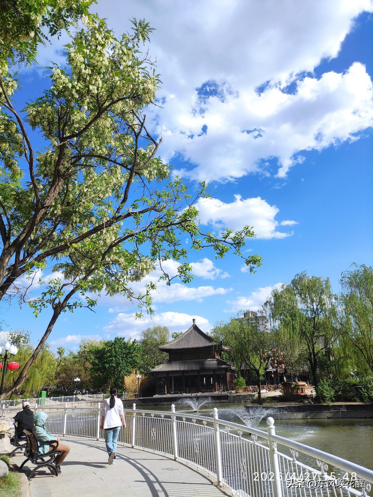 难得的蓝天白云，太美了！大风把天刮晴了，今天的天气真是好，蓝天白云，风景看着特