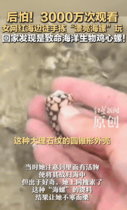 差点就没命了！”女网红海边徒手捡到“漂亮海螺”的视频火了！万万没想到，当她回家查
