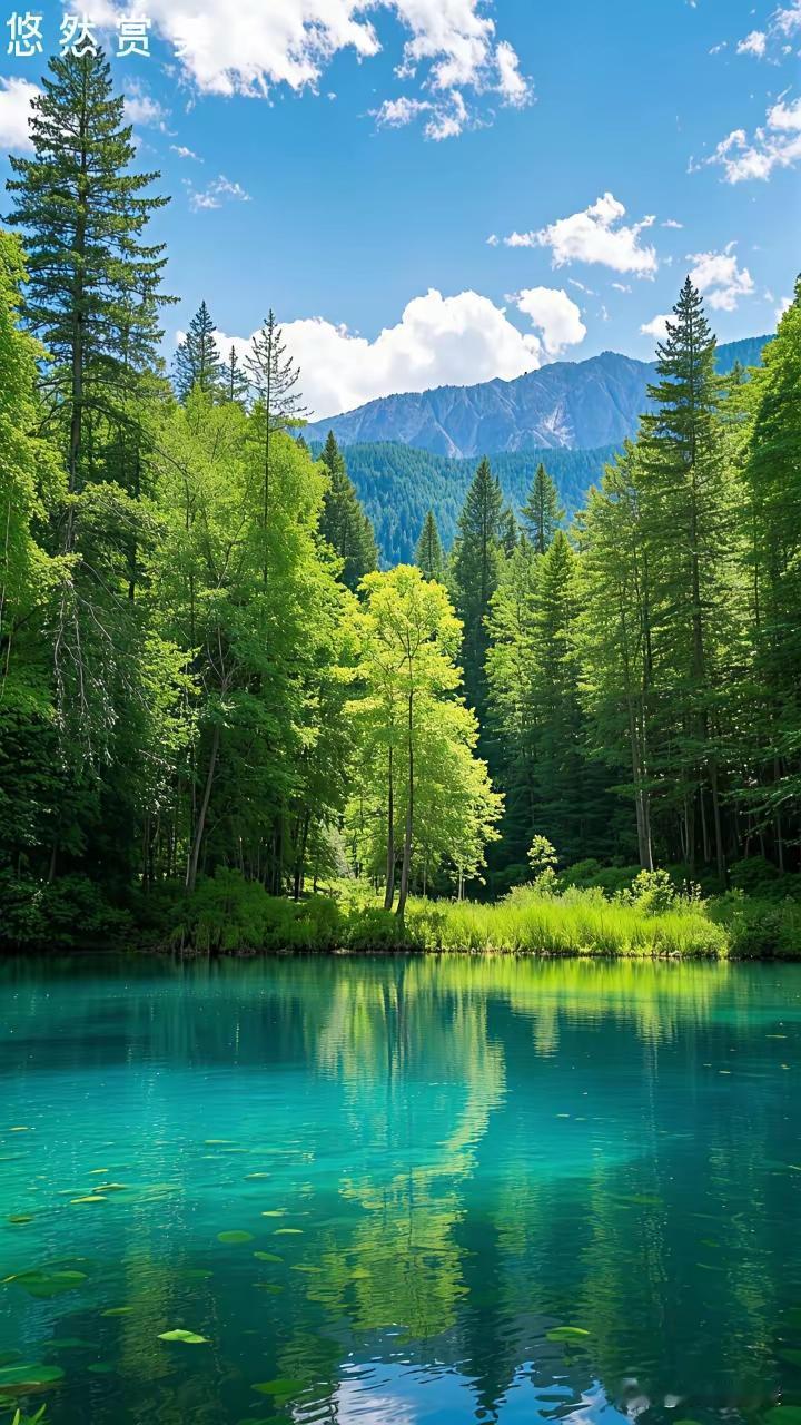 做人，越低调，越有福气人这一辈子，最忌讳的就是张扬，最难得的就是收敛。