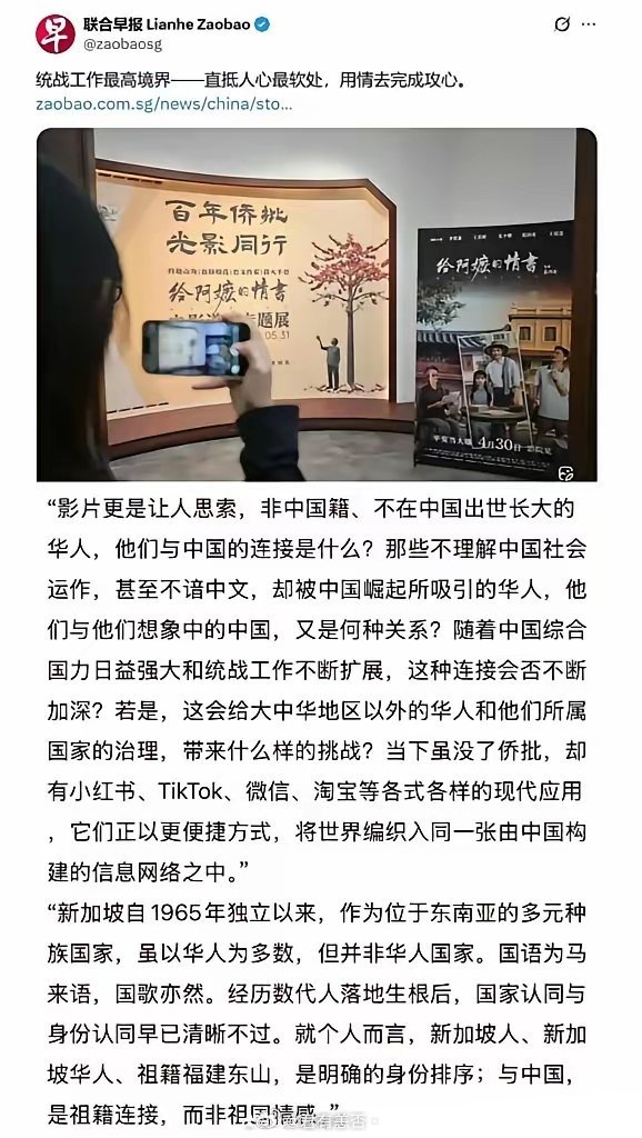 新加坡在中国人心中的形象会越来越差！一部单纯表达海外华人华侨，和中国血脉相连的电