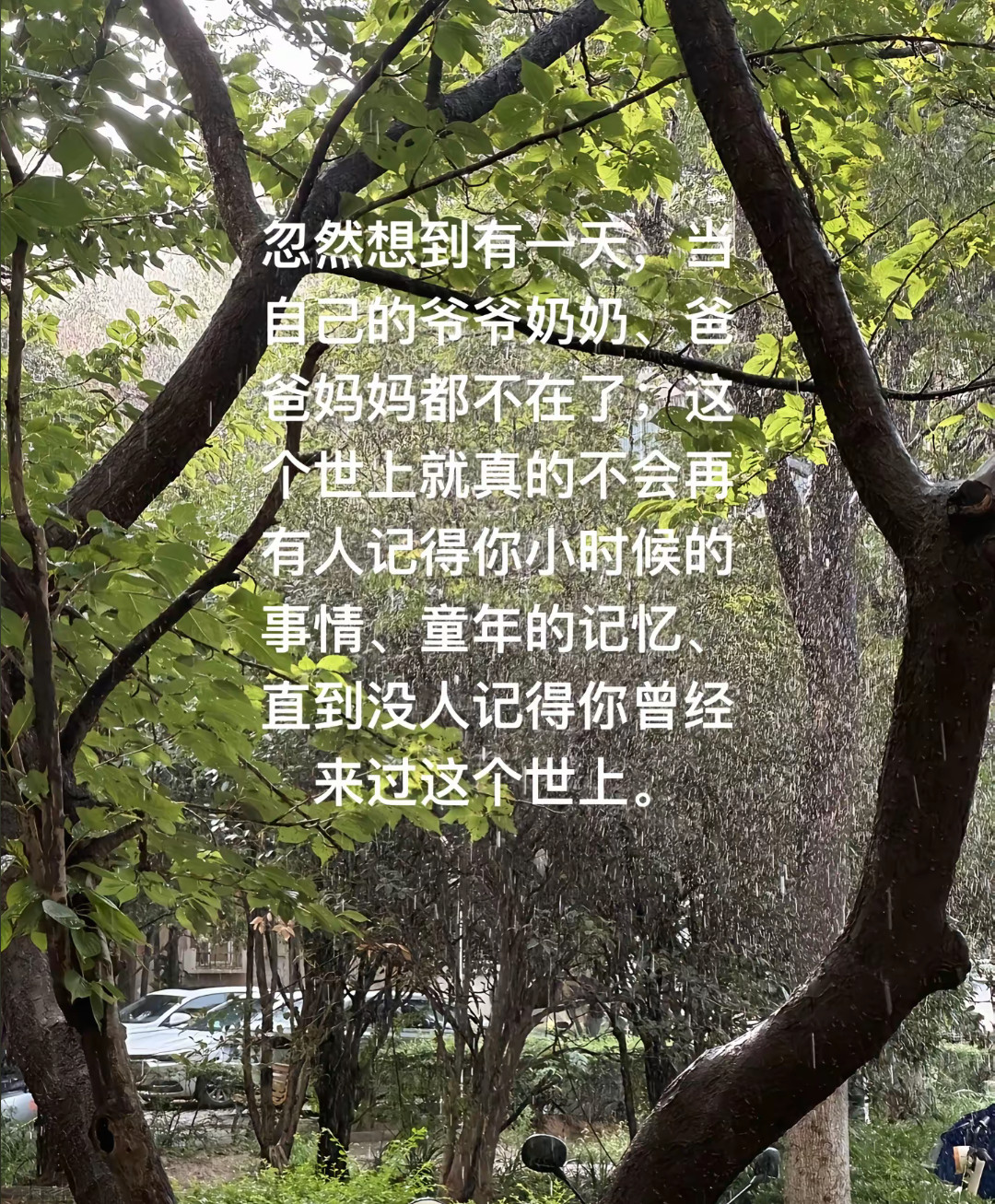 怪不得家里老人总是讲自己过去的事情，光是看文字都感觉到痛了…​​​