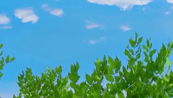 发现没，每年公务员考试，都有考生好不容易笔试过了，但面试却过不了，导致考生非常苦