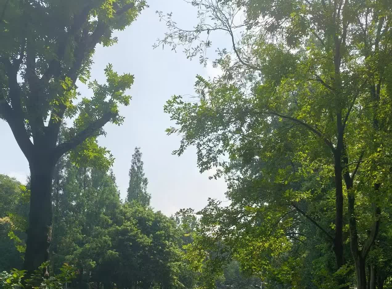有个秘密，不知道说出来好不好。上周六晚上，在一个饭店吃饭，上厕所时，看到在一