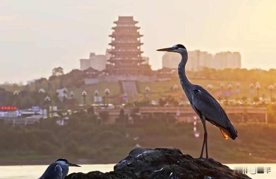 来盘点吐槽那些历代名家说过的话:孔子:己所不欲，勿施于人。吐槽版:你自己