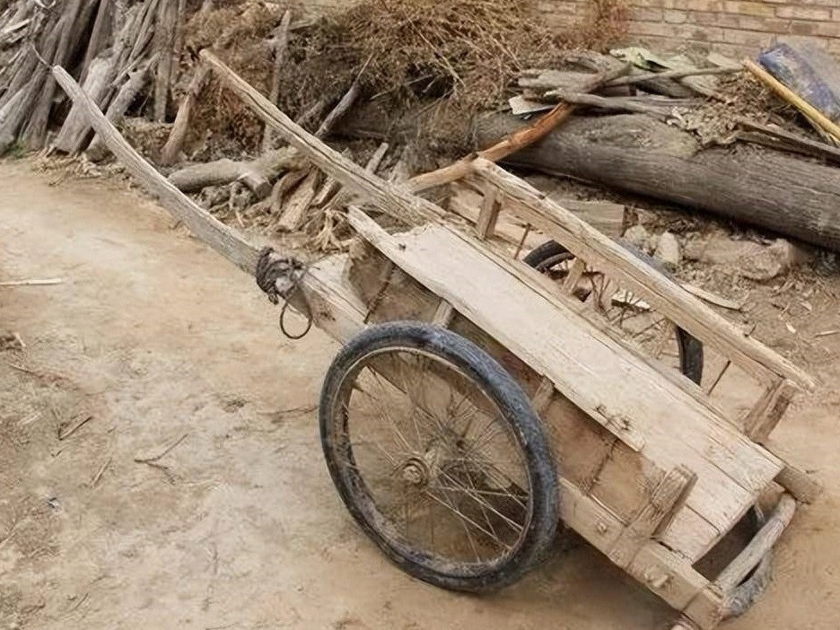 这个在你们当地叫法是什么👀​​​