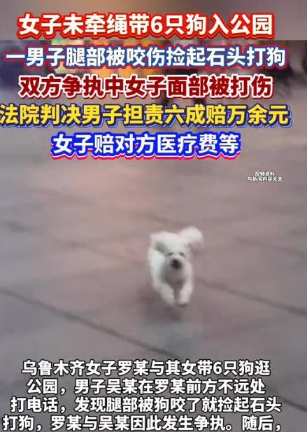 “必须严查！”乌鲁木齐，男子在公园打电话，突然被一条未栓绳的狗咬伤，为了自保，他