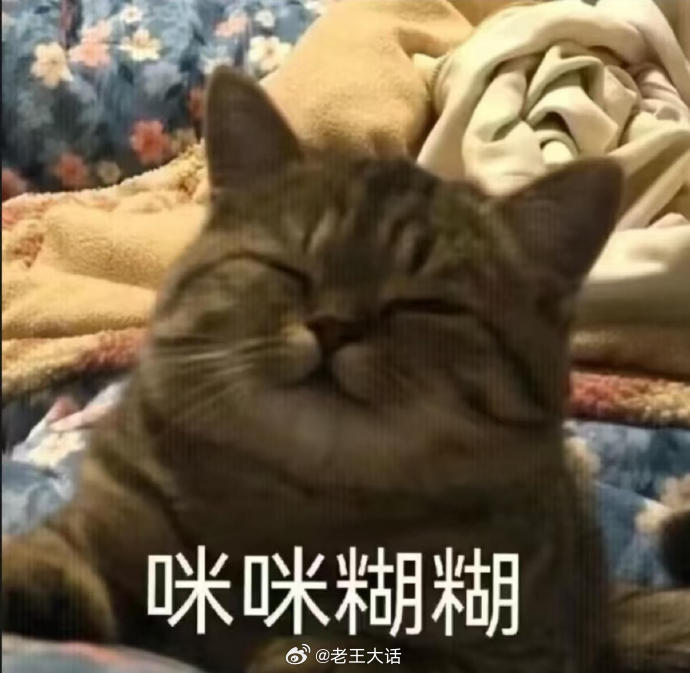 聊天必备表情包第710弹喵星人必备表情包​​​（拿图吱声）​​​