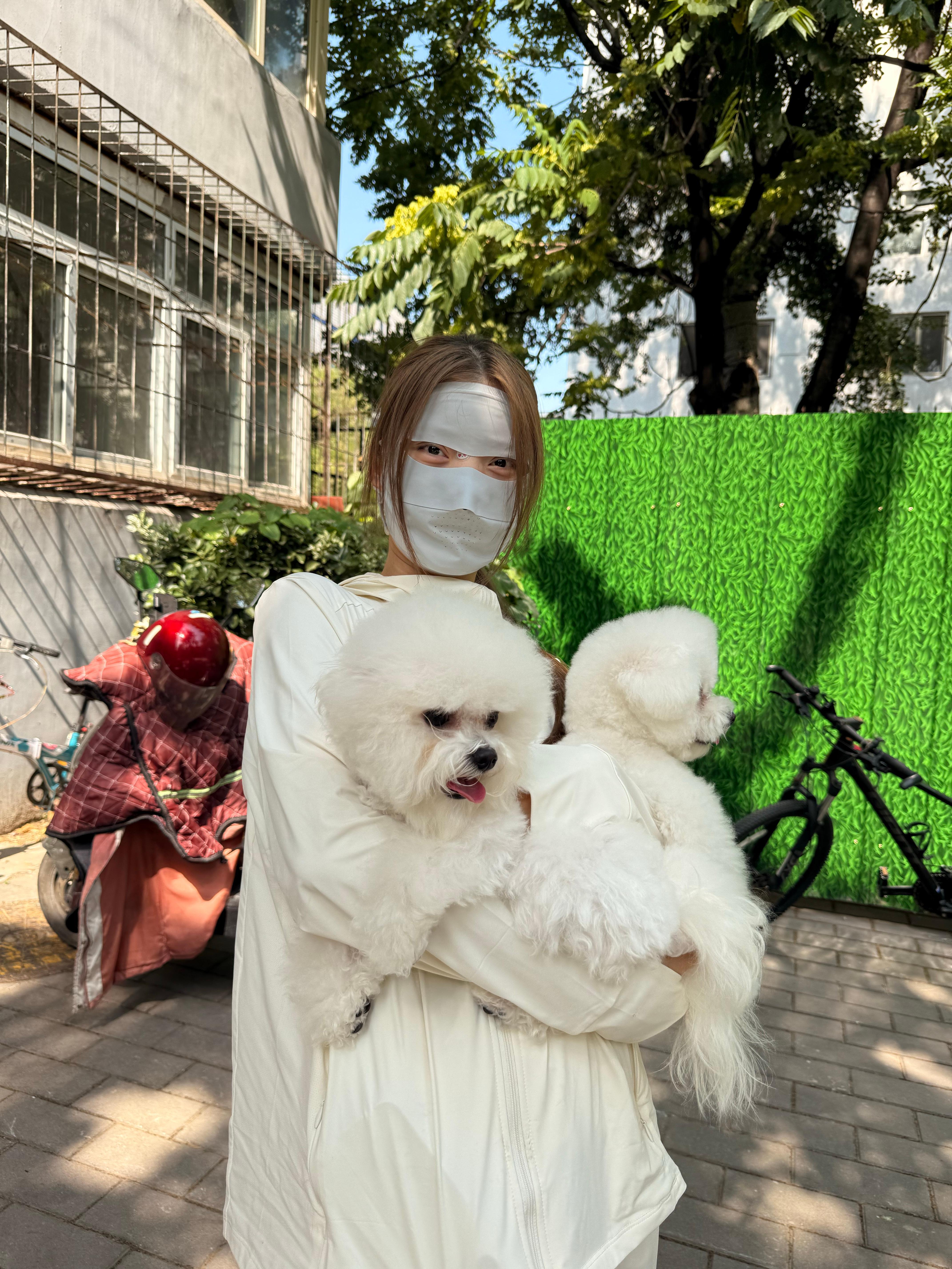 今日份的日常我的日常plog柴柴今天吃什么柴柴今天运动了吗​​​