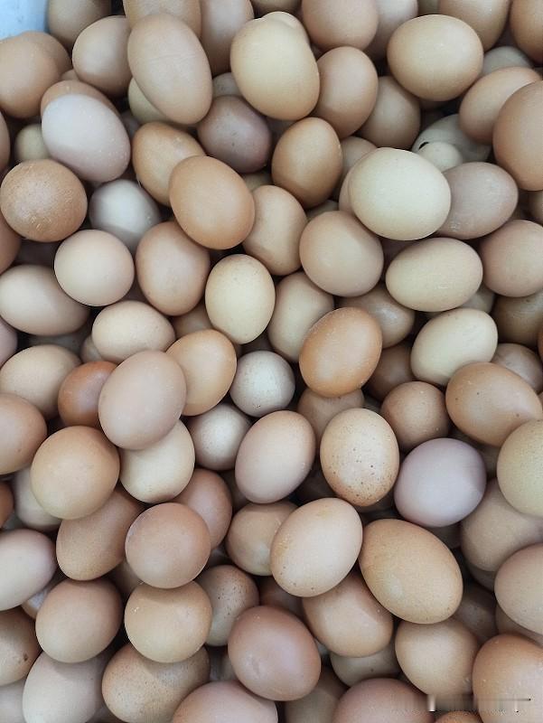 最近这是闹的哪出啊？🥚蛋价跟坐了小火箭似的一路往上窜，今天买菜，散装鸡蛋都涨
