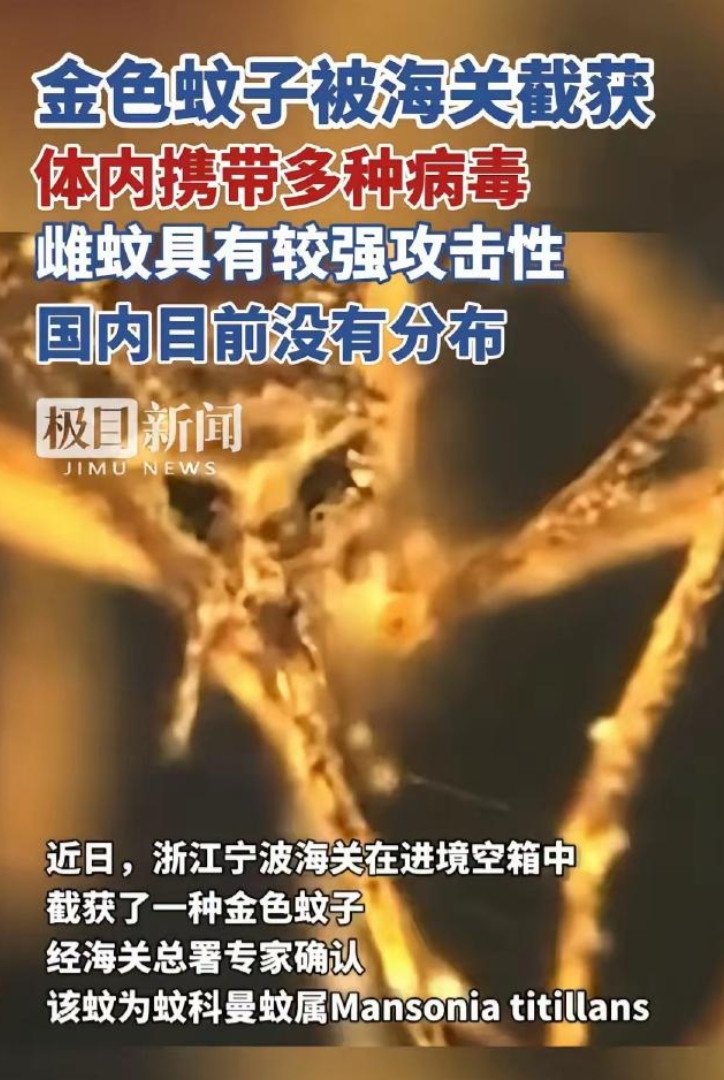 又是美国，又是病毒，这次不是实验室，是一整船“带毒蚊子”直接开到中国宁波！你