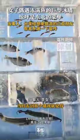 东北佳木斯惊现“冰封满汉全席”！一面墙冻住东北的豪横，三亚朋友看傻：你们点菜用这