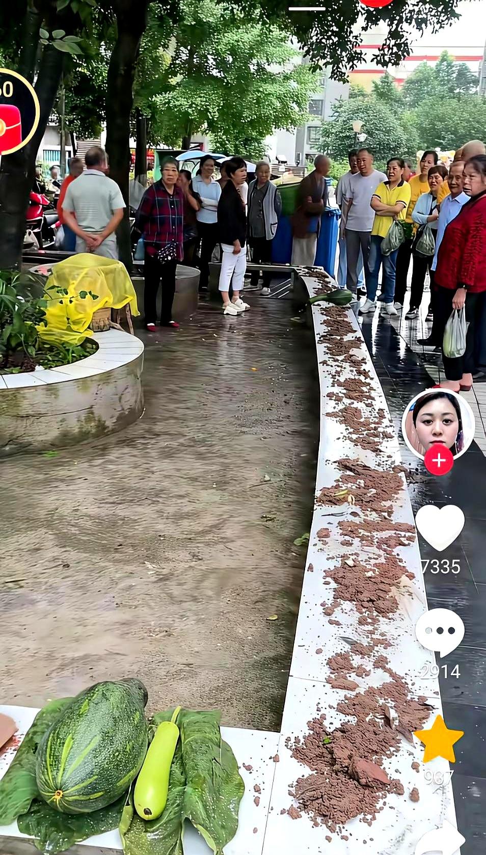 清晨，广场舞音响刚响起，一个大妈抡着铲子，把泥巴一片片铺满公园石凳。大爷大妈围