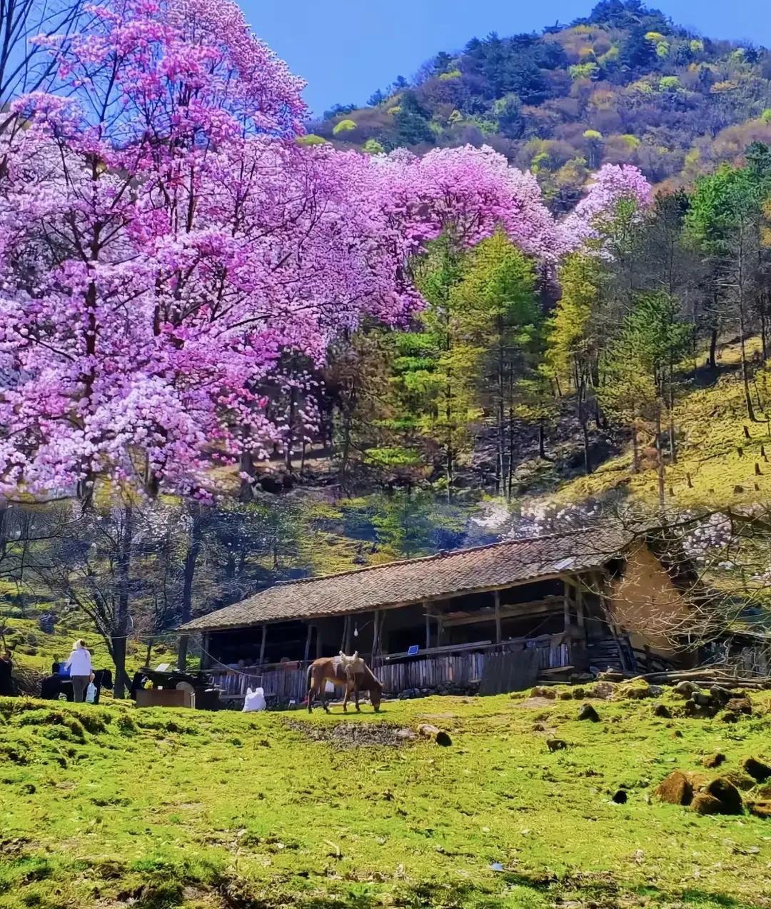 朋友外婆九十岁，退休金攒了半辈子，去年非要买套便宜得离谱的老宅。中介说死过人