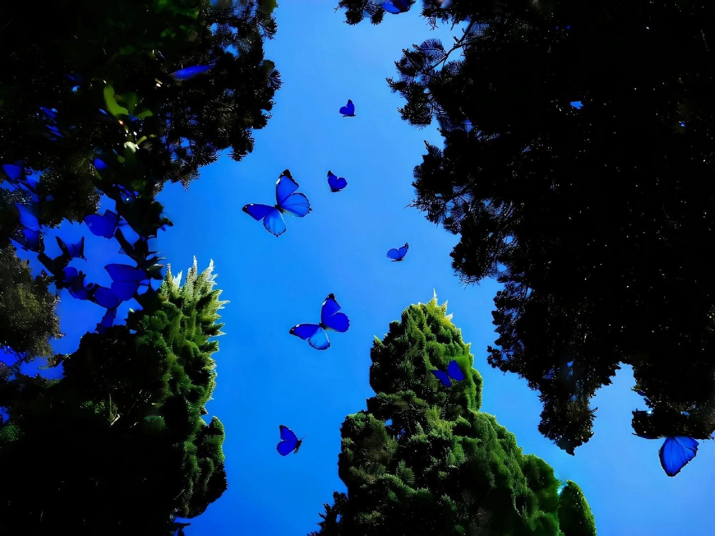 iPad平板电脑壁纸