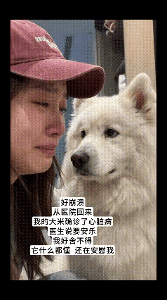 看到这一幕好揪心，加油！原来狗狗也跟人一样，年纪大了也会的一些很难治好的病[泣不