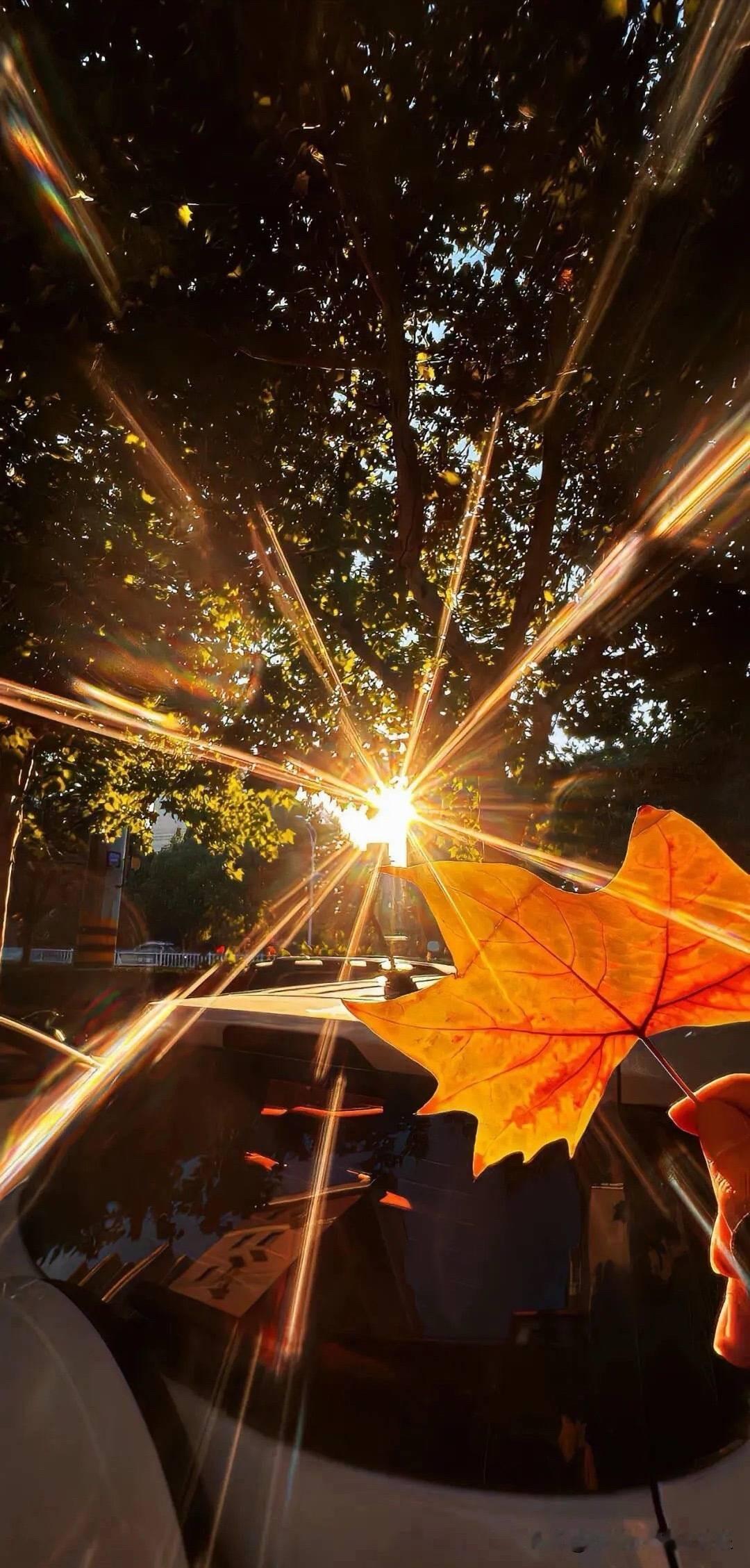 房吹总拿上面救市来说事，说有大招让房价上涨，我们分析一下。主观。目前房地产萎靡