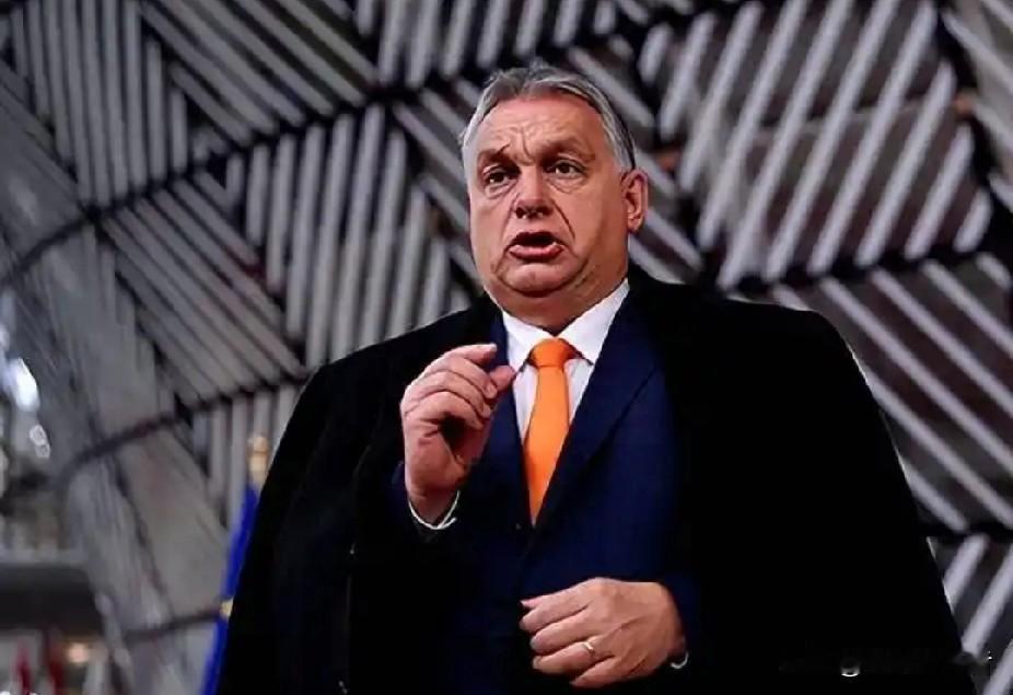 泽连斯基迎来劲敌,欧洲三个不安分国家匈牙利,斯洛伐克,捷克正在欧盟组建反乌克兰联