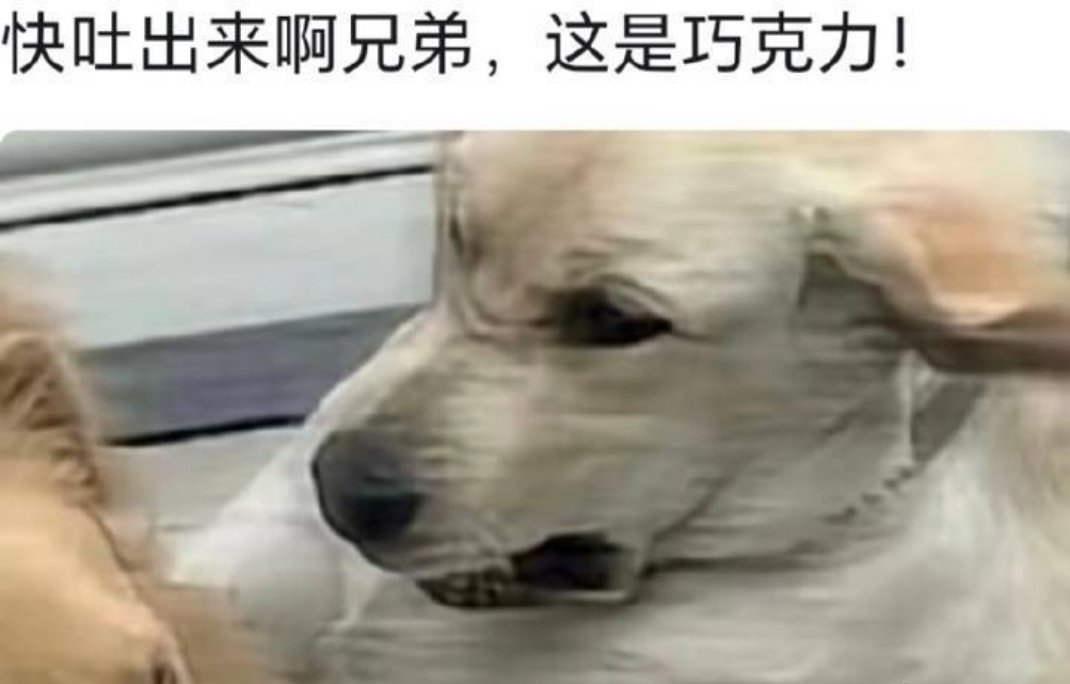 快吐出来！