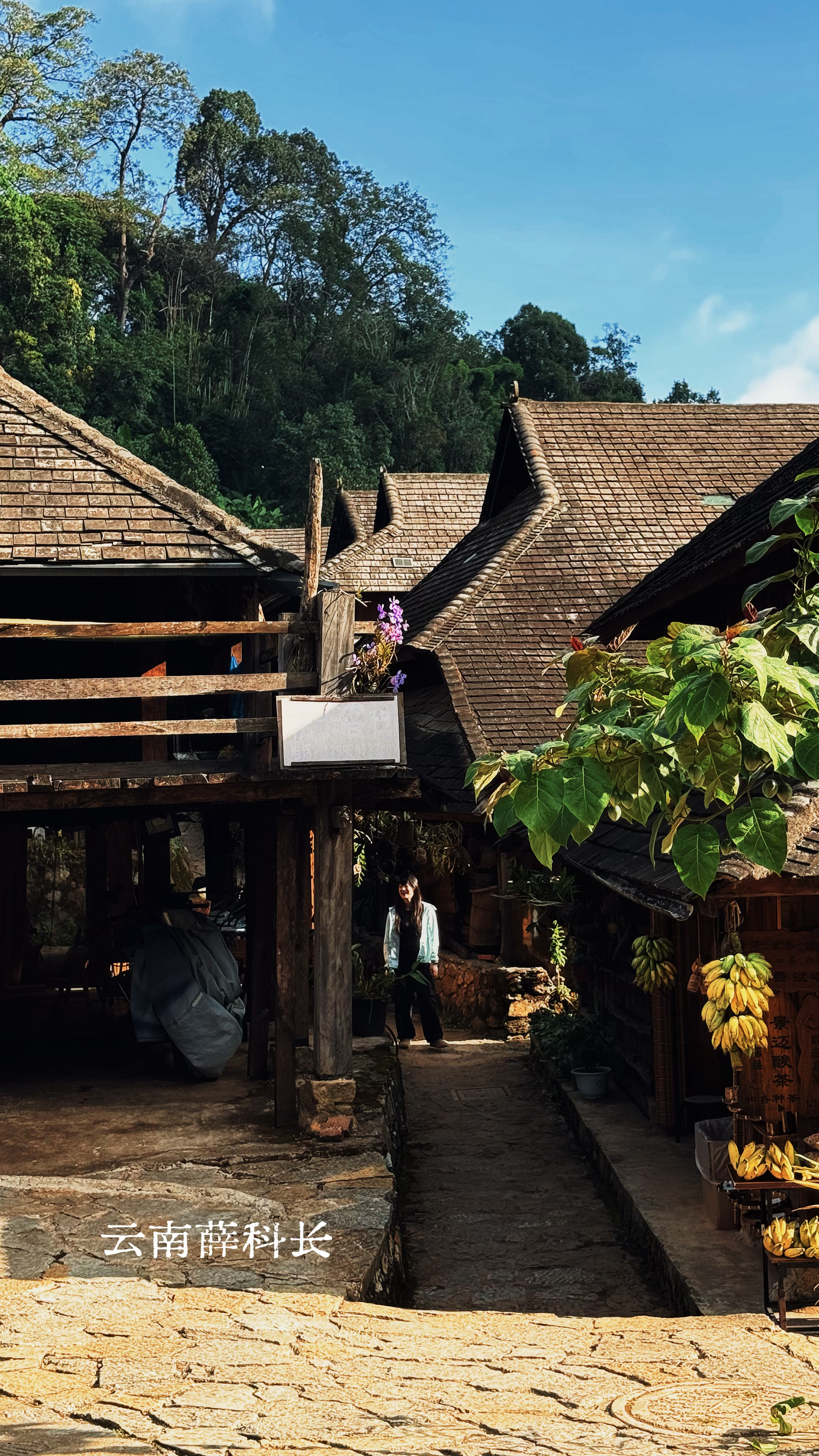 景迈山火了🔥但也大变味了！不要说丽江商业化，丽江商业化是我见过良心的了。这次有