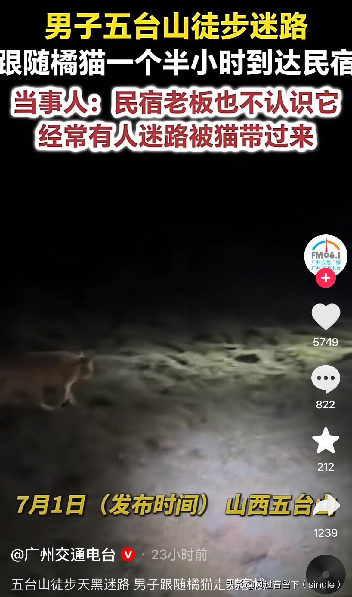 这只猫应该叫导航猫！7月1号发布的，一男子在山西五台山徒步，误入了一片森林，导