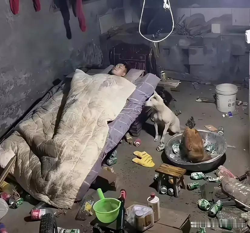 不懂就问，这样的家庭，出路在哪，还能取上媳妇吗？