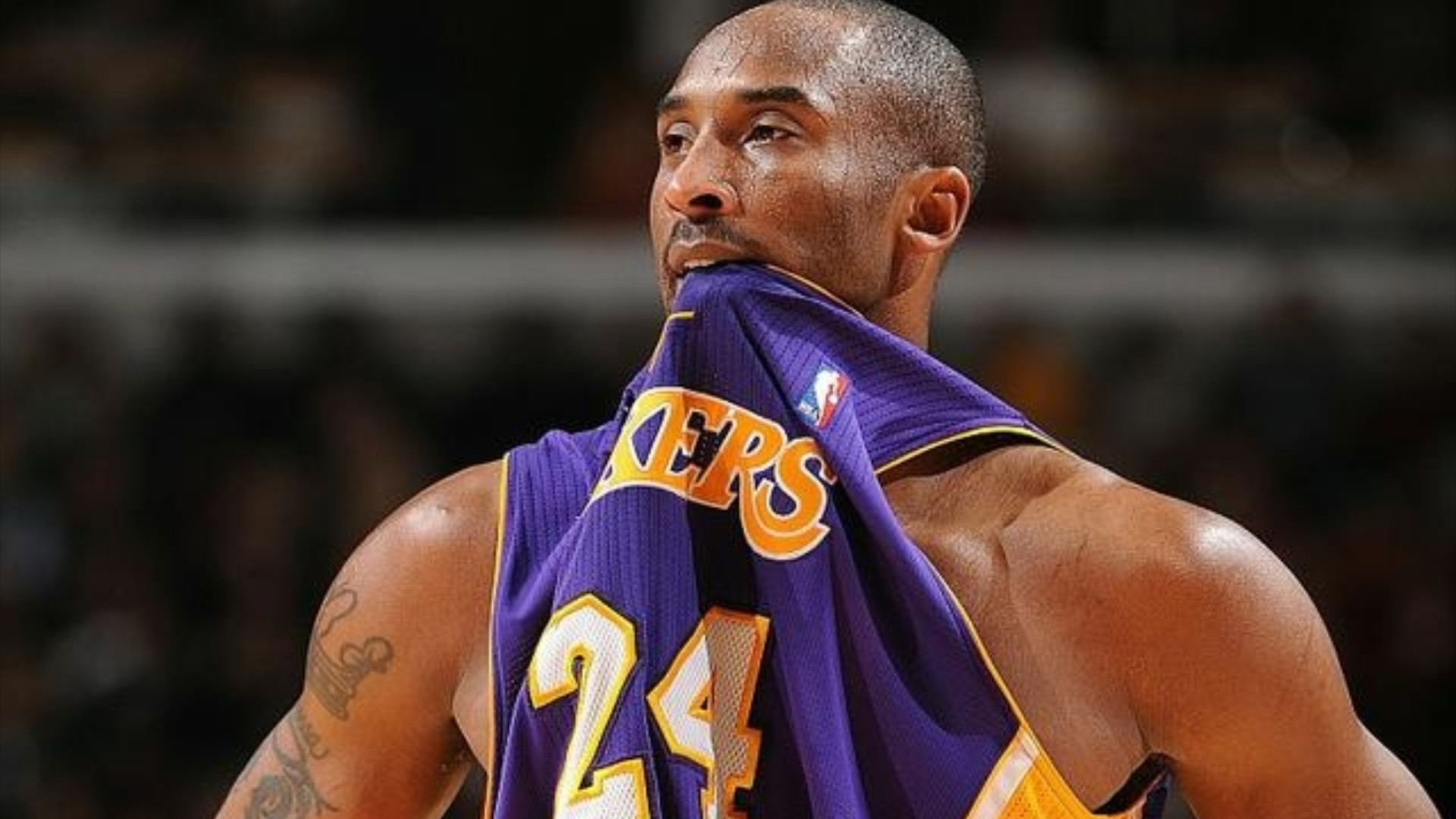 全美票选NBA历史第一人:科比得票率9%,詹姆斯排名飙升