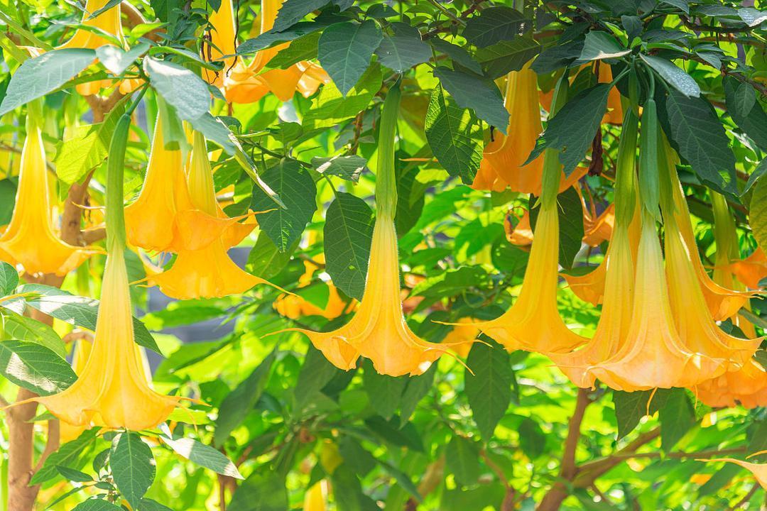 第一次来山东旅游，脑子里就冒出一个念头：好想在这儿买房啊!不是开玩笑。之前对山