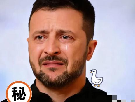 11月26日泽连斯基把最新声明发到官方频道，视频和文字都放出来，说该走的程序都走