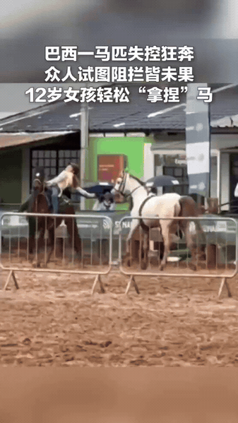“这小女孩真厉害！”巴西，赛马比赛时一匹马突然发疯狂奔，好几个人上前都没拉下来，