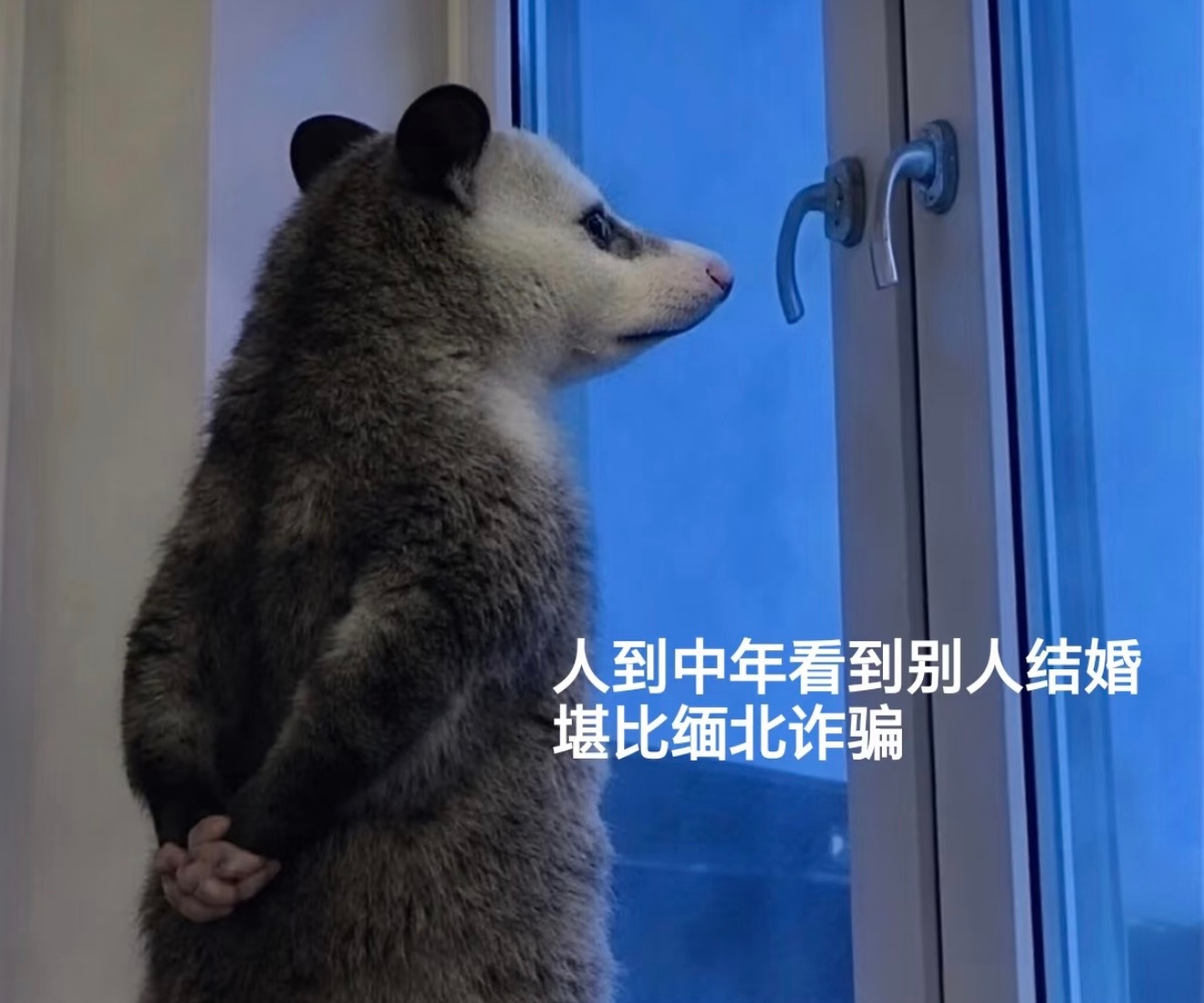 潜逃二十余年的人贩子谢家梅（绰号“梅姨”），落网前数年一直隐匿在广州白云区城中村，靠夜晚摆摊卖切块芒