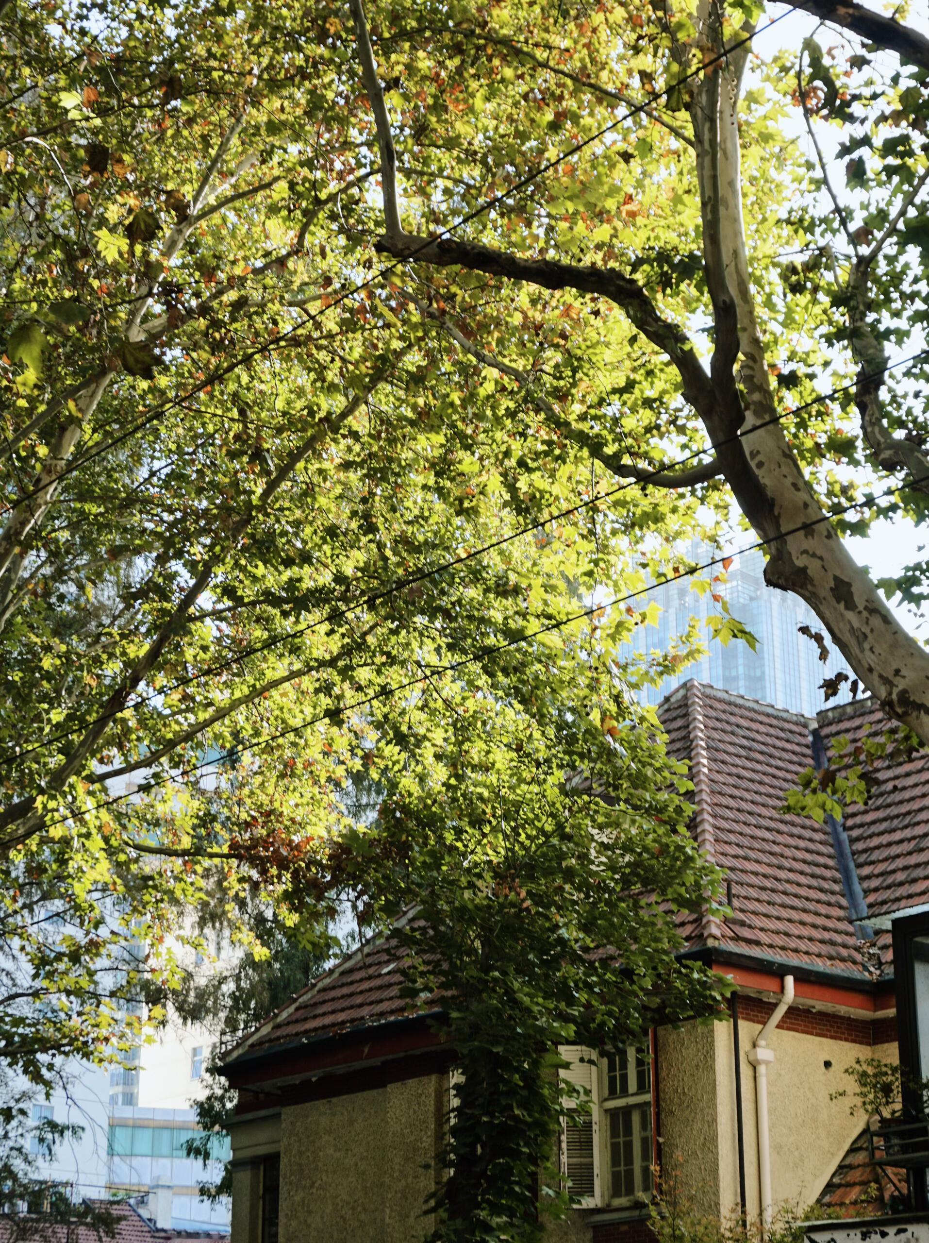 享受当下🎞️💗不去想两小时之后和八公里以外的事