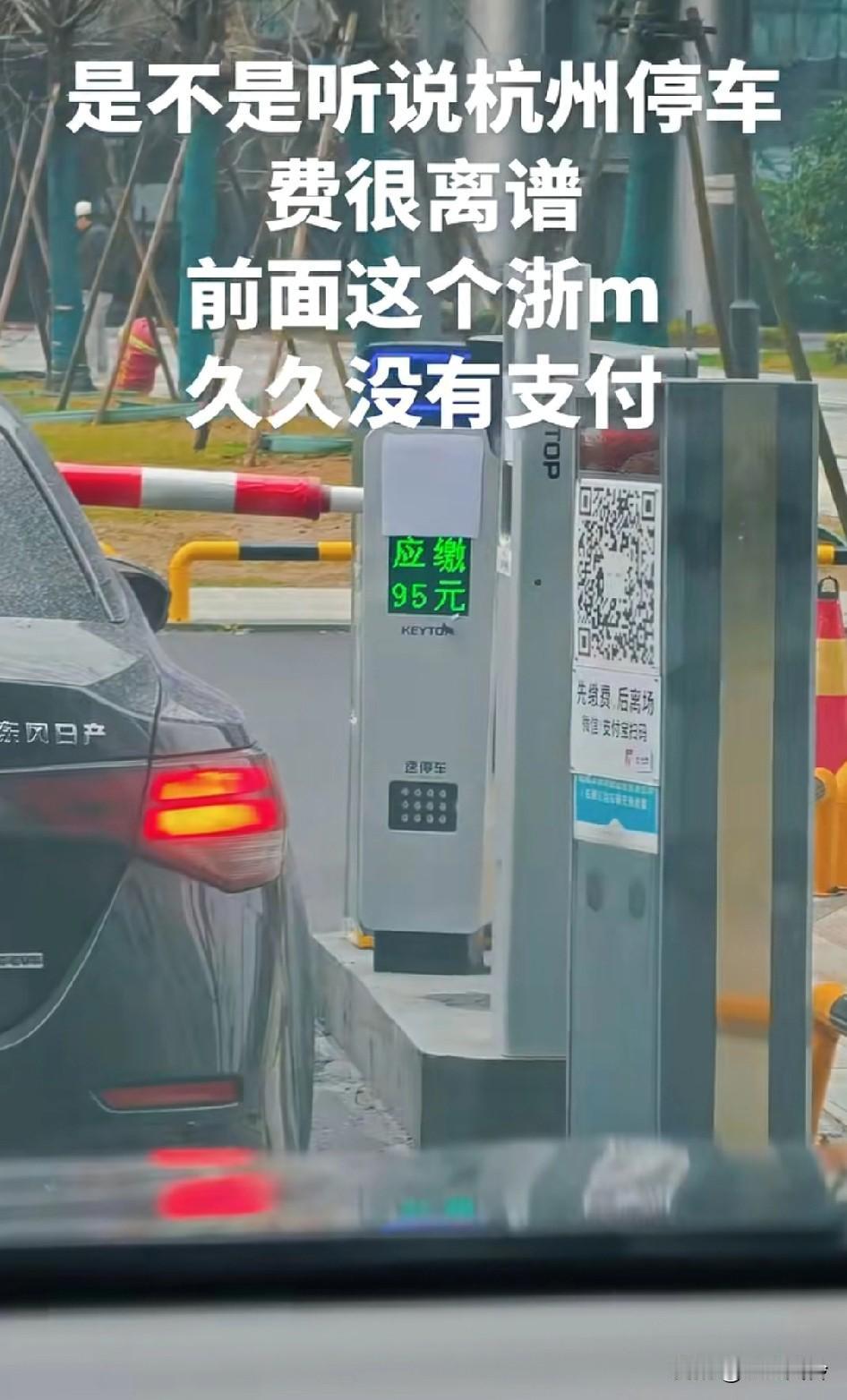 是不是听说杭州停车费很离谱，前面这个浙m久久没有支付，应缴95元车位费在in7