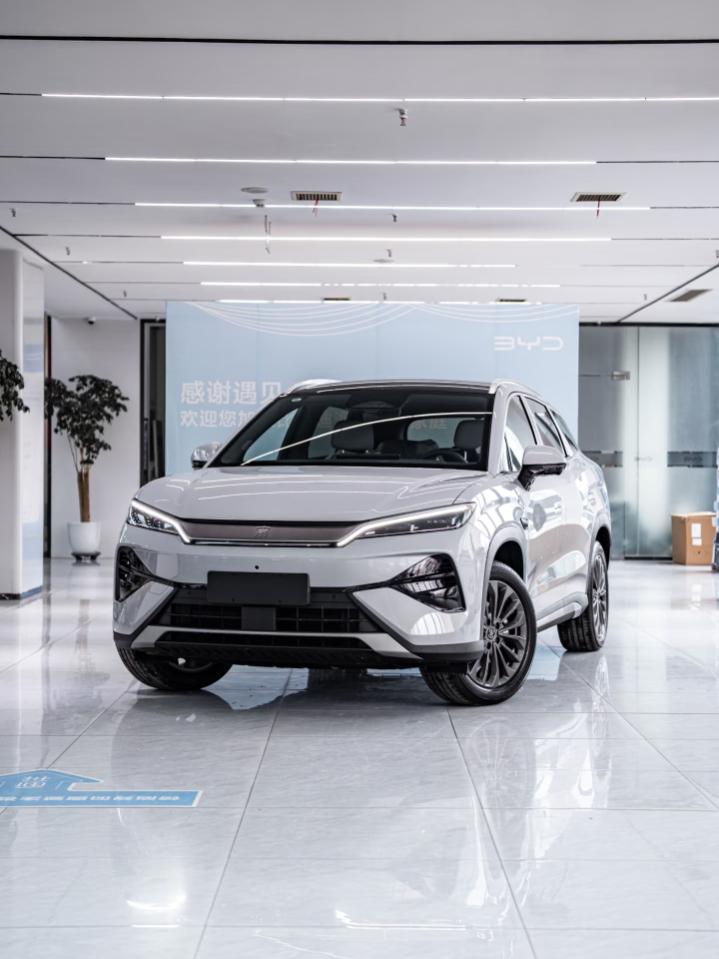 比亚迪做一个海洋做一个王朝真就是为了内卷来的？还真是天下奇观，自己卷自己了属于是