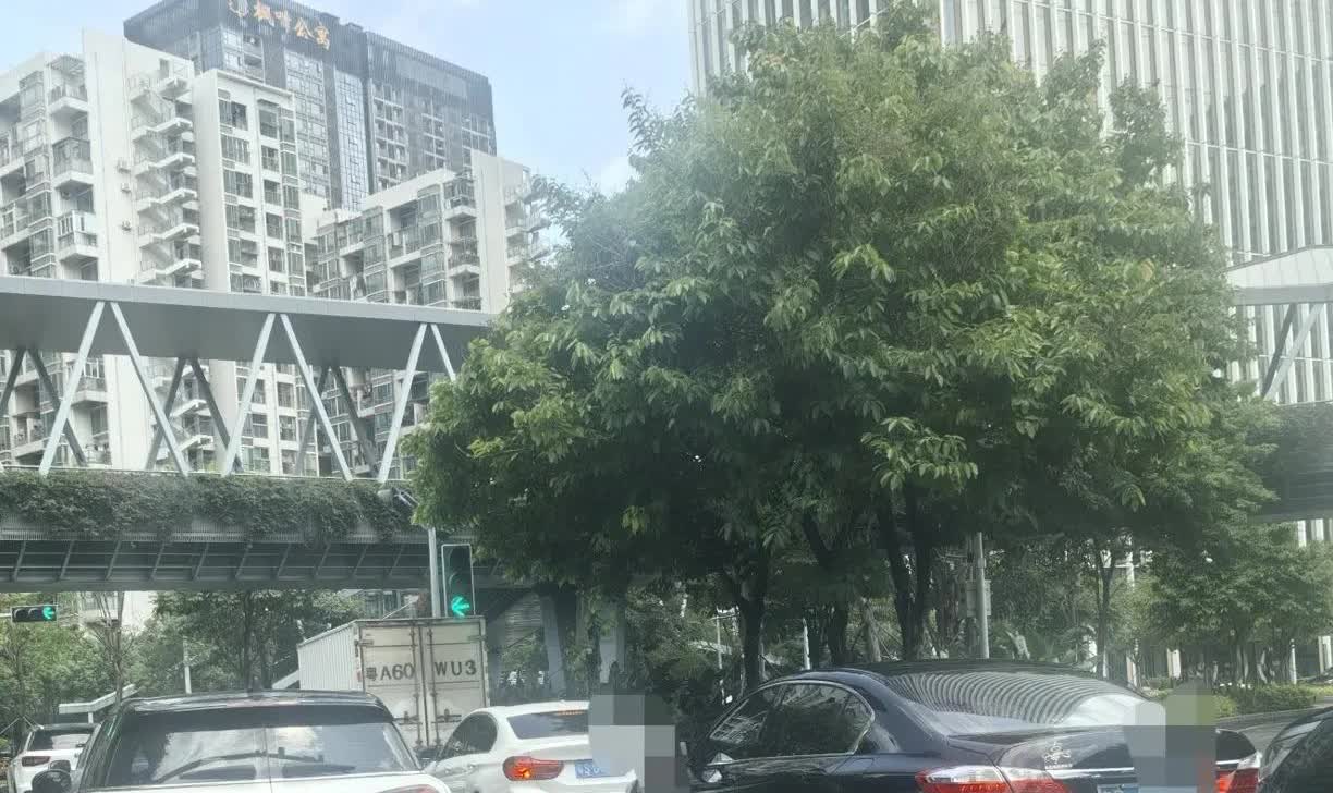 蓝牌油车的车主们，有没有像我一样的，就是每次行驶在路上，都有一种孤独感伴随，因为