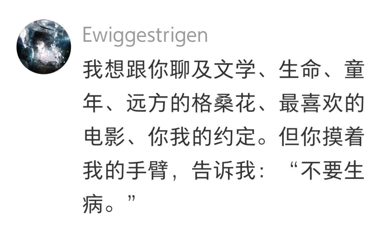 我将永远忠于文字​​​