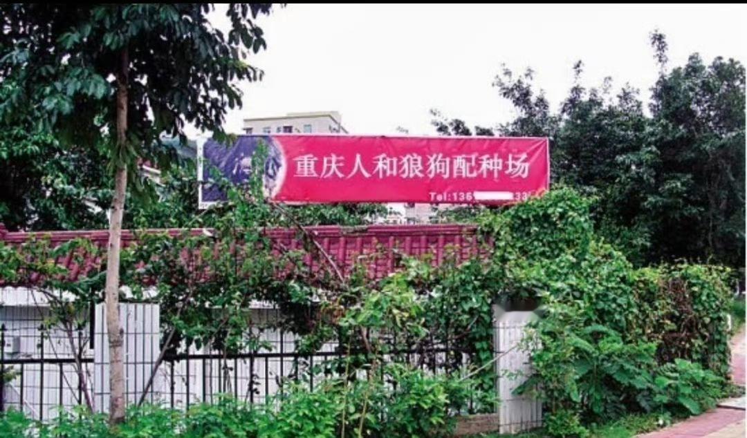当宣传部来了鬼才哈哈哈哈哈，笑发财了我