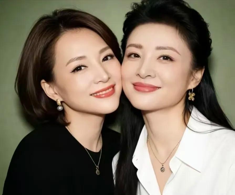 央视两大美女，两位有着不同的特点，哪一位是你心中的女神？